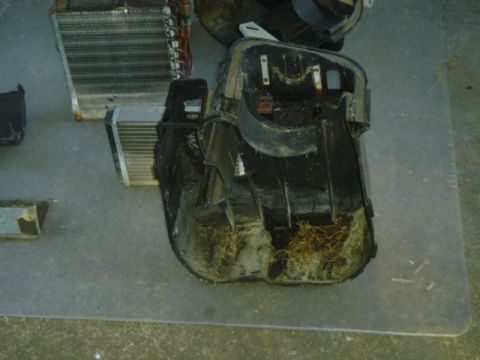 1983 Volkswagen Rabbit - crud in the left side heater case