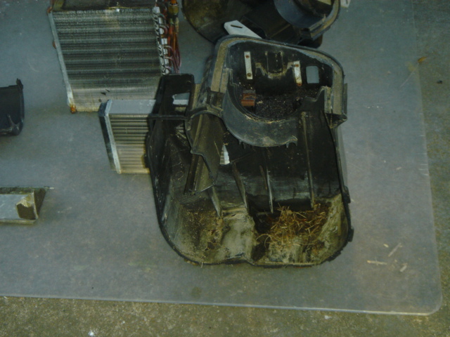 crud in the left side heater case