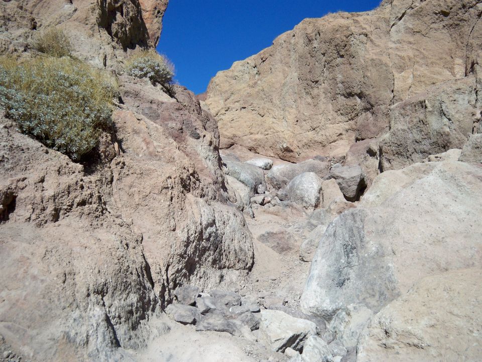 Rocky canyon with sparse vegetation under a clear blue sky