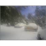 1973 Ford Ranchero - Winter scene with snow-covered trees and ground.