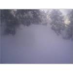 1973 Ford Ranchero - A dense fog blankets the landscape, with the tops of trees barely visible through the haze.