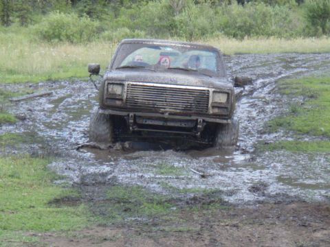 1985 Ford Bronco - This SUV is stuck in the mud, its front tires submerged in the muck.