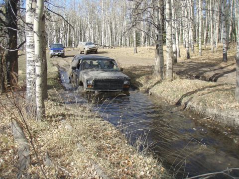 1985 Ford Bronco photo