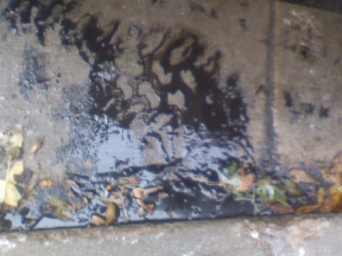 1993 Ford Bronco - Tire tracks are visible in a puddle on a paved surface, surrounded by fallen leaves.