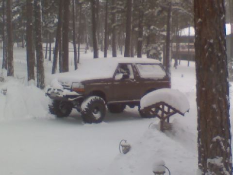 1993 Ford Bronco - A brown Ford Bronco sits partially buried in snow amidst a forest setting.