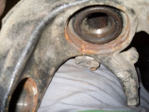 1999 Volkswagen Beetle photo