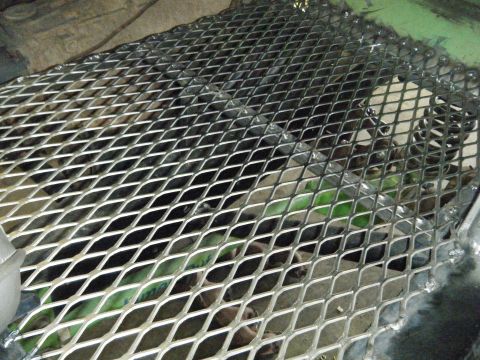 1978 Ford Bronco - Close-up view of metal grating installed over vehicle components.