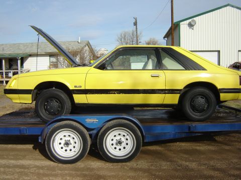 1979 Ford Mustang - sexy but bad rims.