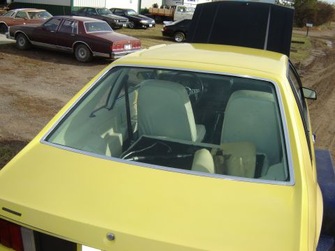 1979 Ford Mustang - looks nice a clean, don't you think?