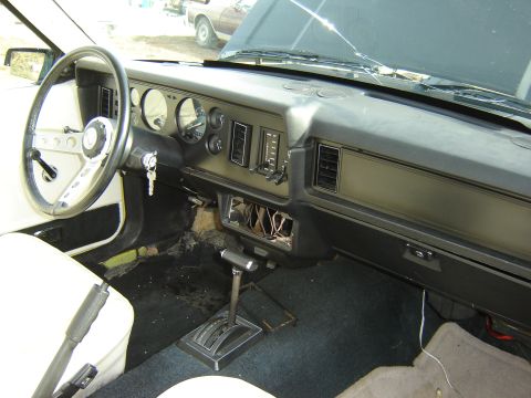 1979 Ford Mustang - plain but in geat shape.