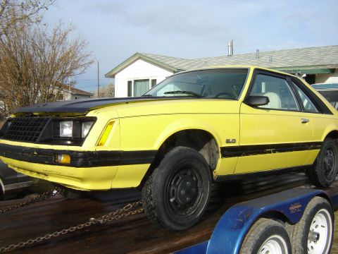 1979 Ford Mustang - sorry the black rim look not my style