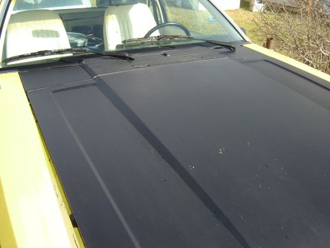 1979 Ford Mustang - thisblack hood is ok for now.