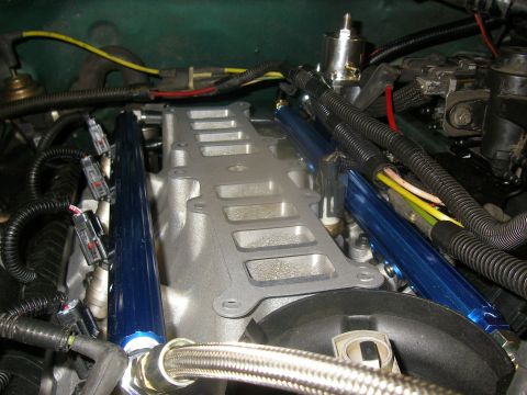 1990 Ford Bronco - Professional Products Fuel Rail, adjustable FPR, Accel 40 Lbs/Hr fuel injectors and RJM Injection Tech. harness