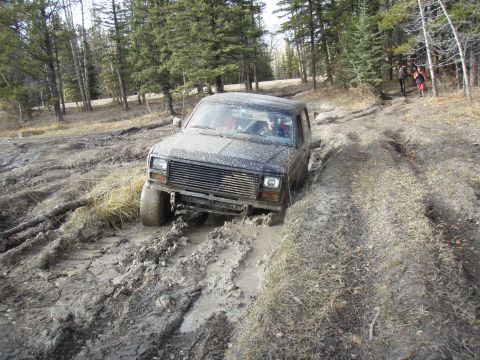 1985 Ford Bronco photo