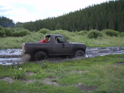 1985 Ford Bronco photo