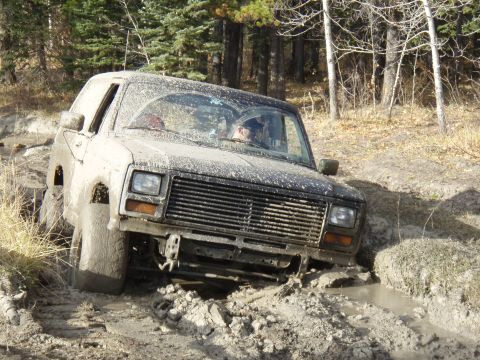 1985 Ford Bronco photo
