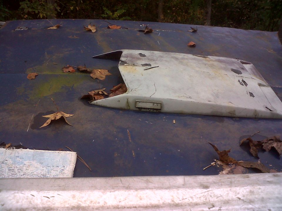 Gray hood scoop on a blue surface with fallen leaves