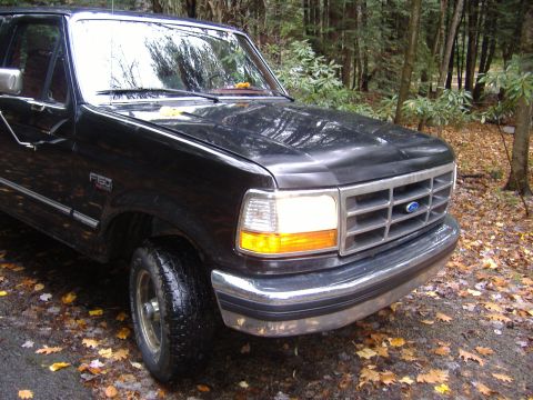 1995 Ford F-150 - Front corner view of a black 1995 Ford F-150 truck in a wooded area.