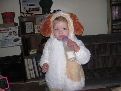 1968 Ford Mustang - A toddler dressed as a dog holds a bottle of milk while sitting in a room with a bookshelf and couch.