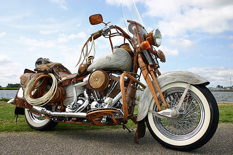 Motorcycle with leather saddlebags, fringe, and a coiled rope, parked outdoors by a body of water