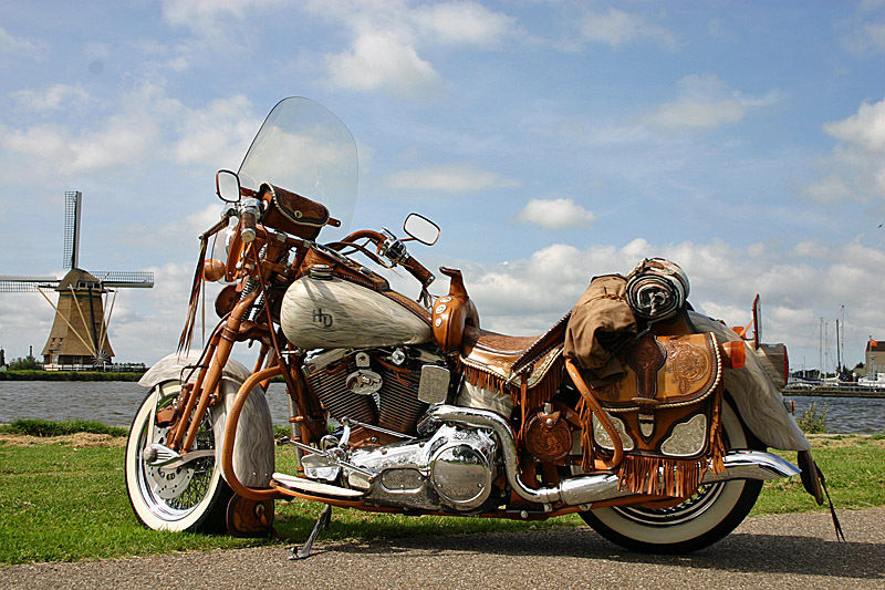 Side view of a custom motorcycle with leather saddlebags and windshield, parked near a windmill