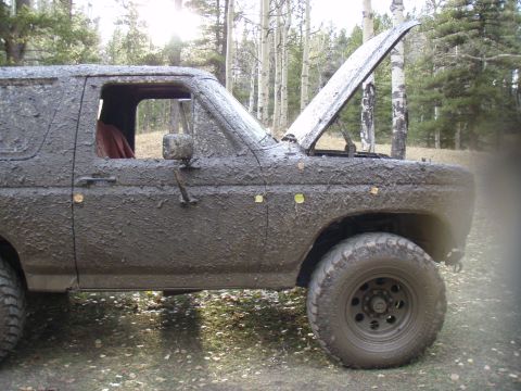 1985 Ford Bronco - Muddy 1985 Ford Bronco with hood popped open in a forest setting.