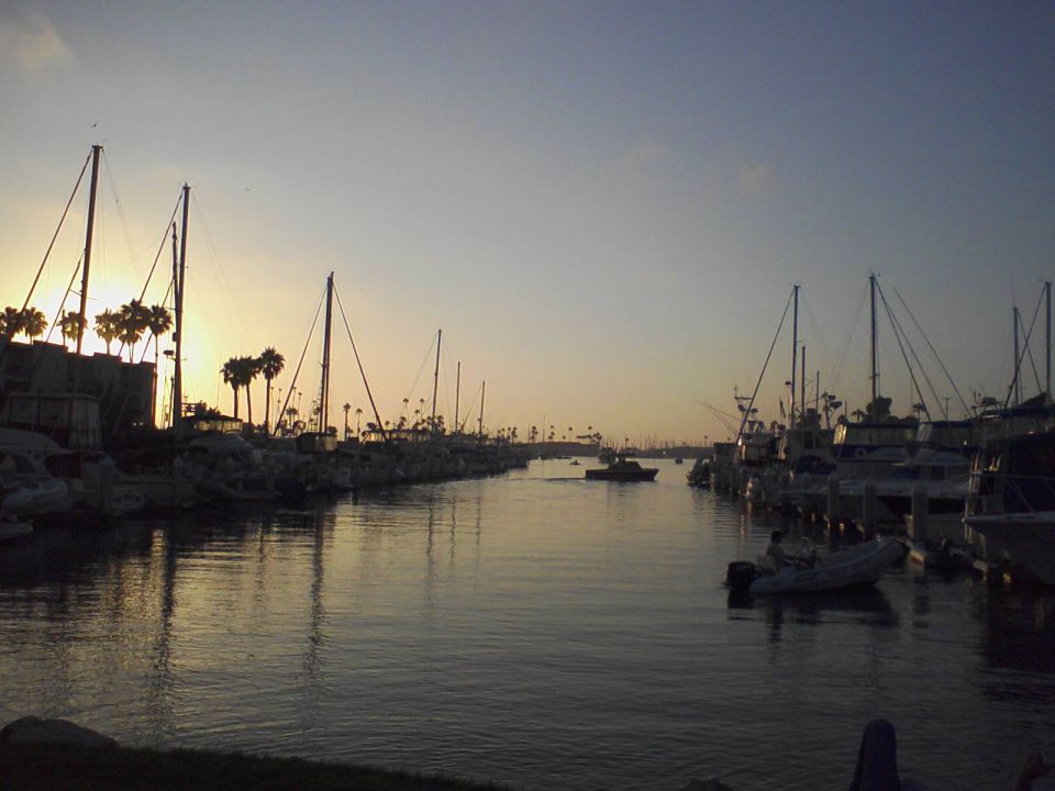 Boats docked in a marina with palm trees and sunset in the background