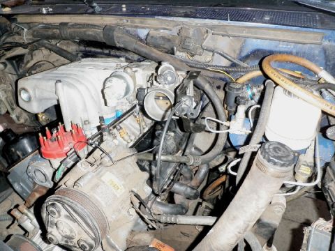 1994 Ford Bronco - Close-up of an engine bay, focusing on the air conditioning compressor and related engine components.