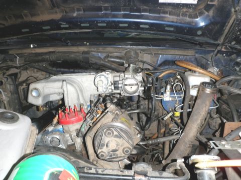 1994 Ford Bronco - The engine bay of a vehicle, showing a V8 engine with various components including the throttle body and distributor cap.