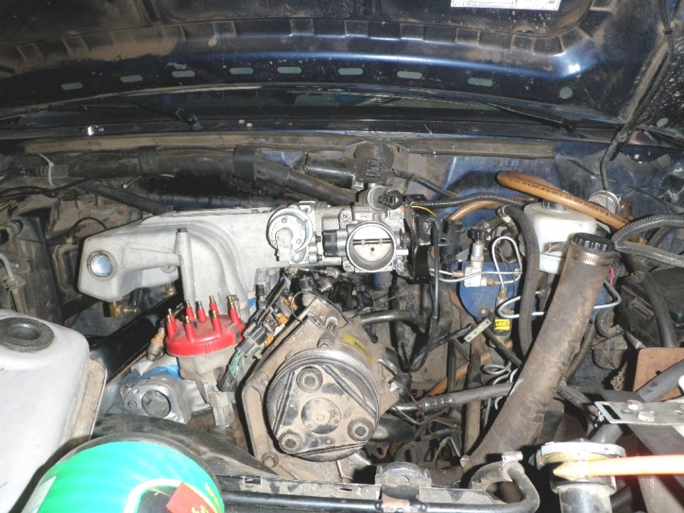 Engine bay view of a V8 engine with throttle body and distributor