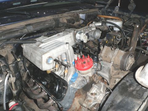 1994 Ford Bronco - Close-up of a V8 engine, showing the intake manifold, distributor cap, and other engine components.
