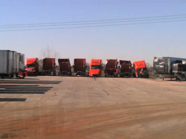 Row of red semi-truck tractors parked in a dirt lot under a clear sky