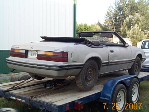 1984 Ford Mustang - This 1984 Ford Mustang convertible is seen from the rear while being transported on a trailer.