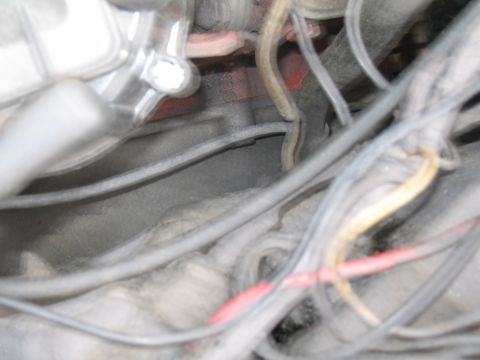 1991 Ford LTD Crown Victoria - Detail shot of engine bay components and wiring harness.