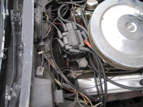 1991 Ford LTD Crown Victoria - The engine bay shows a distributor cap, spark plug wires, and a chrome air filter housing.
