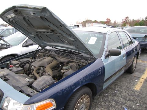1991 Ford LTD Crown Victoria - Engine compartment of a police sedan, a two-tone blue paint job and visible engine components.