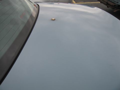 1991 Ford LTD Crown Victoria - The rear of a car, showing the roof and rear window with a visible antenna base.