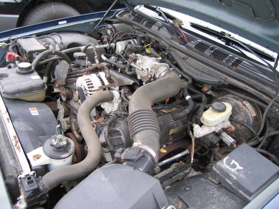 Engine bay with hoses, belts, and engine components visible