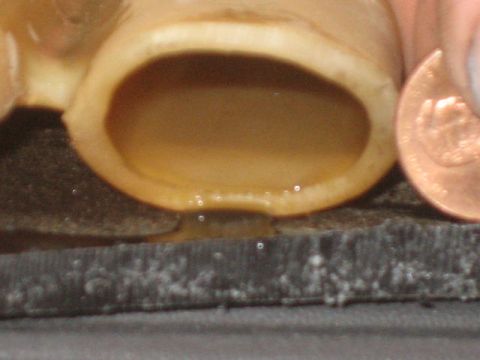 1996 Ford Thunderbird - A close-up view of a hose with a penny for scale, indicating a potential leak or drip.