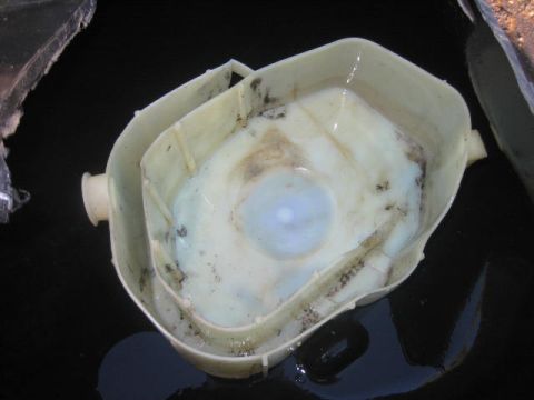 1996 Ford Thunderbird - A dirty plastic fluid reservoir is shown from a top-down perspective, with a watermark at the bottom right.