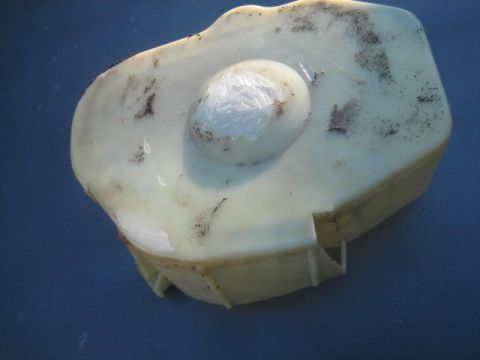 1996 Ford Thunderbird - This is a plastic automotive part, likely a reservoir or cover, shown from an angled perspective.