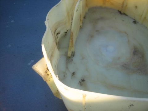 1996 Ford Thunderbird - A dirty windshield washer fluid reservoir is shown, with visible brown staining within the tank.
