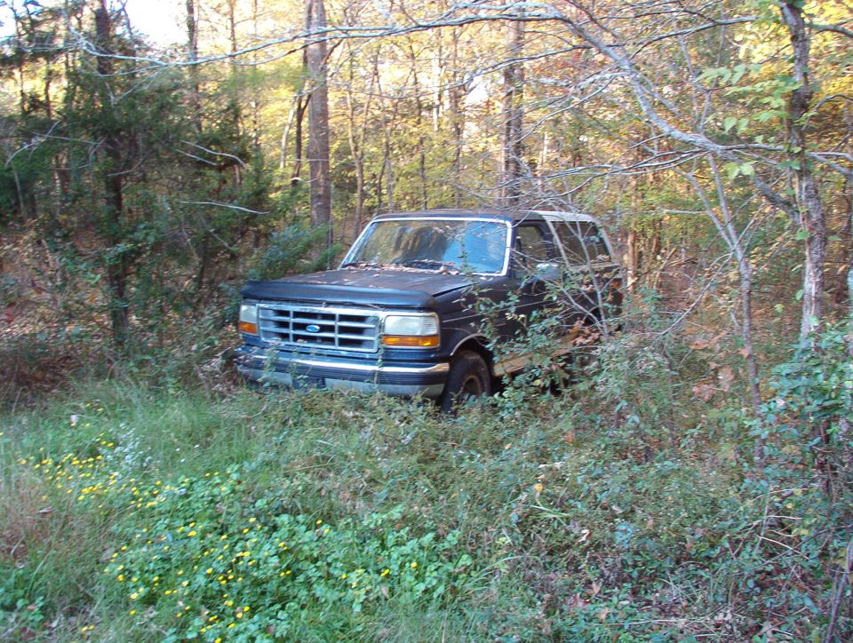 1993 Ford Bronco in 2009