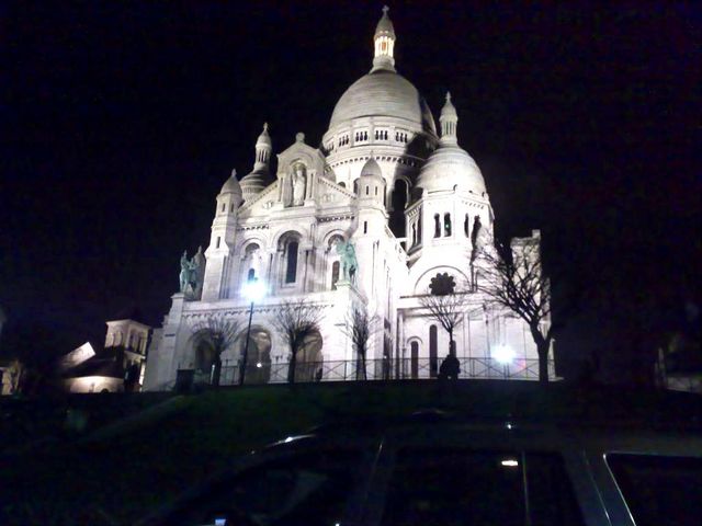Sacré-Cœur Basilica illuminated at night with a dark sky and trees in the foreground
