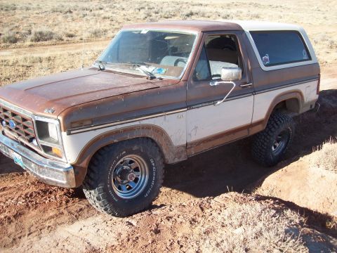 1985 Ford Bronco - This 1980 Ford Bronco is shown in a three-quarter front view, navigating a dirt path.
