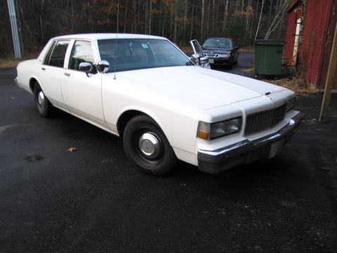 1991 Ford LTD Crown Victoria - A white sedan is parked on a wet asphalt surface with trees in the background.