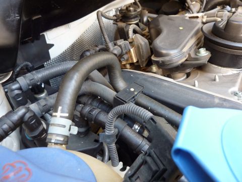 2003 Volkswagen Beetle - Close-up view of various hoses and components within a vehicle's engine bay.