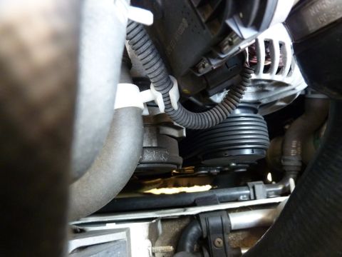 2003 Volkswagen Beetle - Engine compartment detail showing a ribbed belt and alternator assembly.