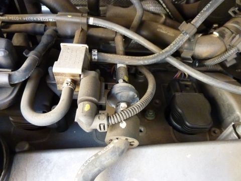 2003 Volkswagen Beetle - Engine bay view showing various hoses and electrical components.