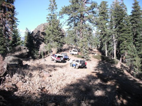 1991 Ford Bronco - Several SUVs are parked on a dirt trail surrounded by trees on a sunny day.